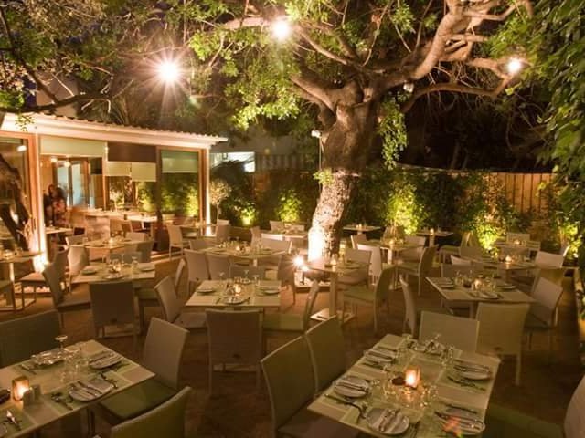 Photo of Verde Papagalo restaurant